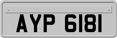 AYP6181