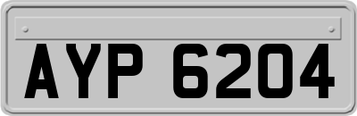 AYP6204