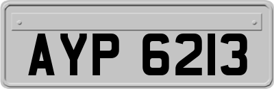 AYP6213