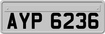 AYP6236