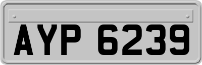 AYP6239