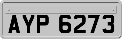AYP6273