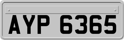 AYP6365