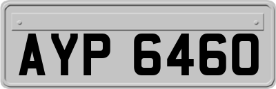 AYP6460
