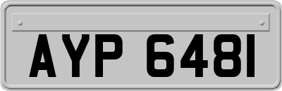 AYP6481