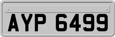 AYP6499