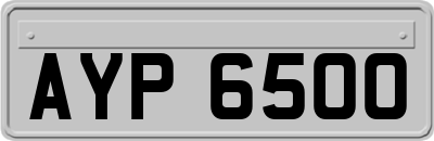 AYP6500