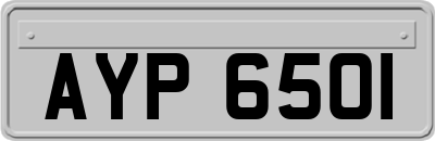 AYP6501