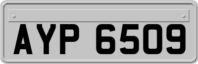 AYP6509