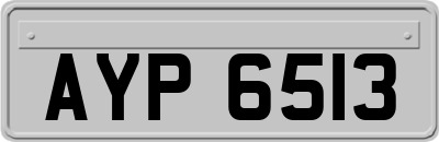 AYP6513