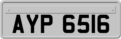 AYP6516