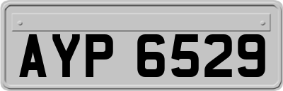 AYP6529