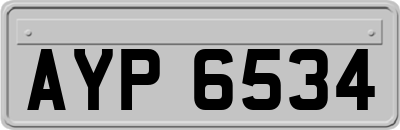 AYP6534