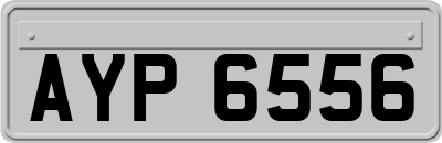 AYP6556