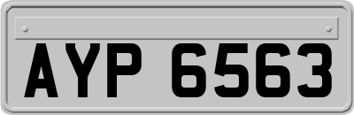 AYP6563