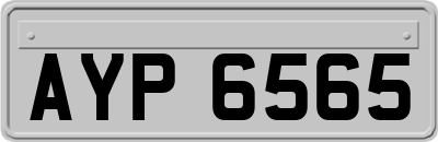 AYP6565