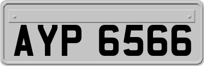AYP6566