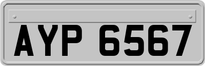 AYP6567