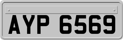 AYP6569