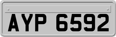 AYP6592