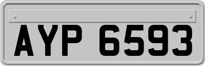 AYP6593