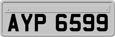 AYP6599