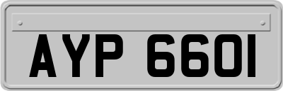 AYP6601