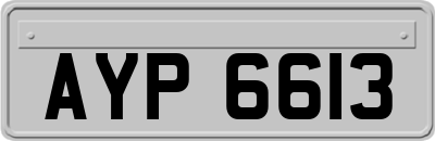 AYP6613