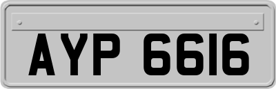 AYP6616