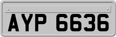 AYP6636