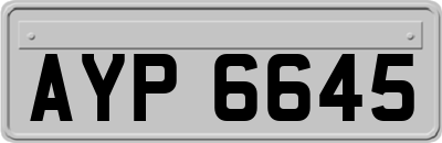 AYP6645