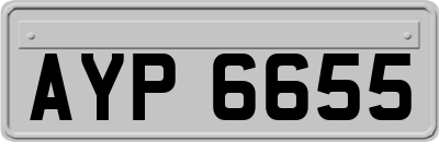 AYP6655