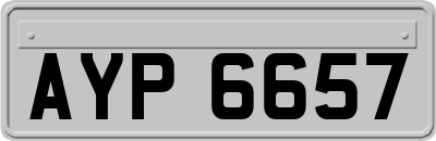 AYP6657