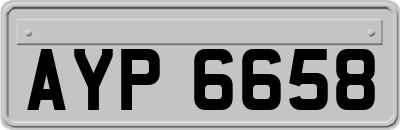 AYP6658