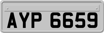 AYP6659