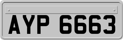 AYP6663