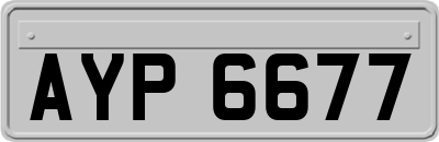 AYP6677