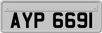 AYP6691