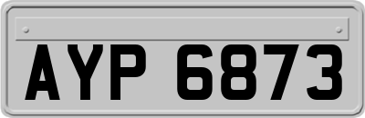 AYP6873