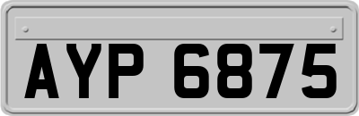 AYP6875