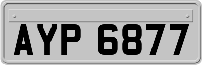 AYP6877