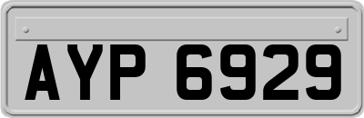 AYP6929