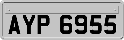 AYP6955