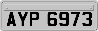 AYP6973