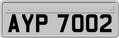 AYP7002
