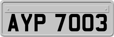 AYP7003