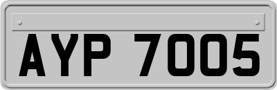 AYP7005