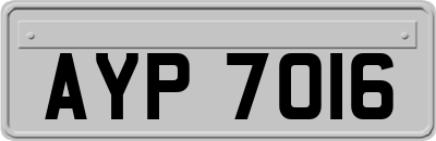 AYP7016