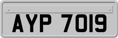 AYP7019