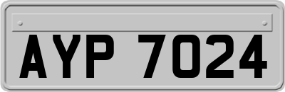 AYP7024